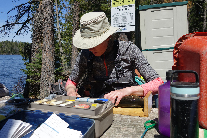Scientist measures a white sucker (fish) at an outdoor station. Scientist measures a white sucker (fish) at an outdoor station.