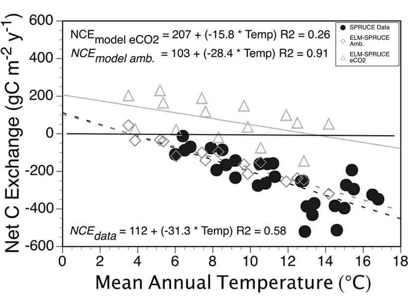 Plot of observed data shows increased carbon loss as temperature is experimentally increased