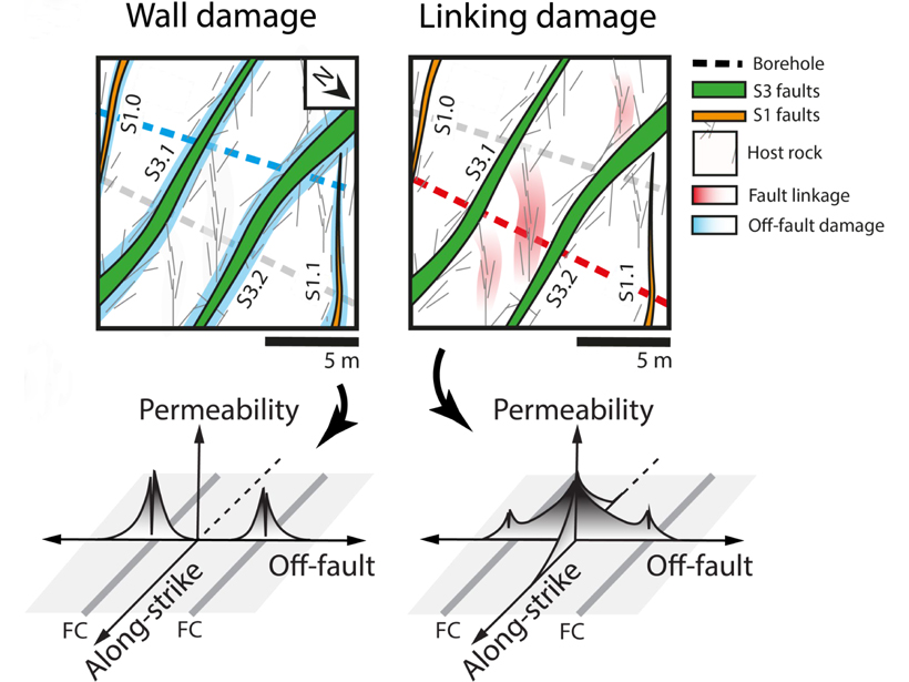 Figure showing the fault damage halo and linking damage zones between fault cores
