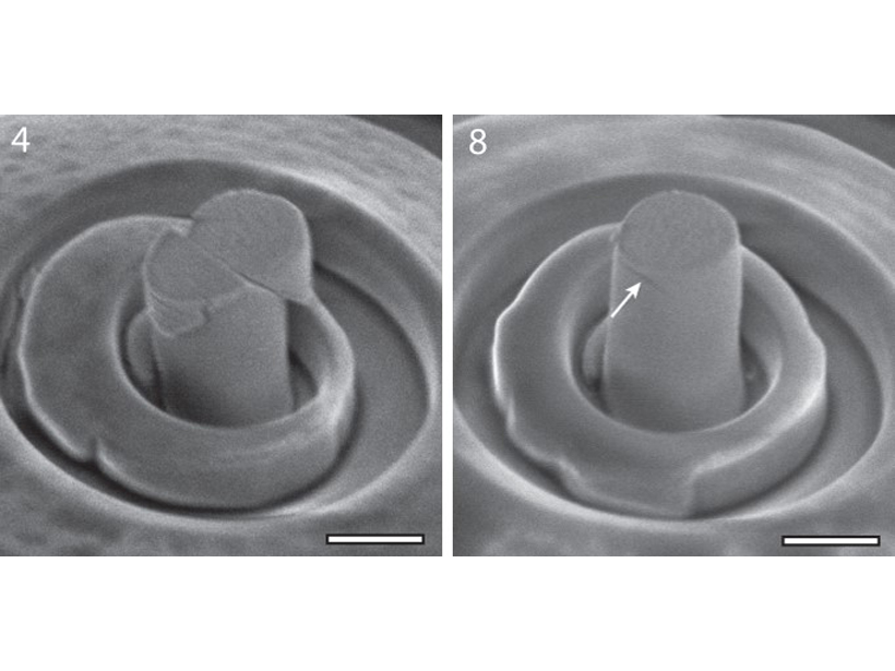 Scanning Electron Microscope images of deformed olivine micropillars