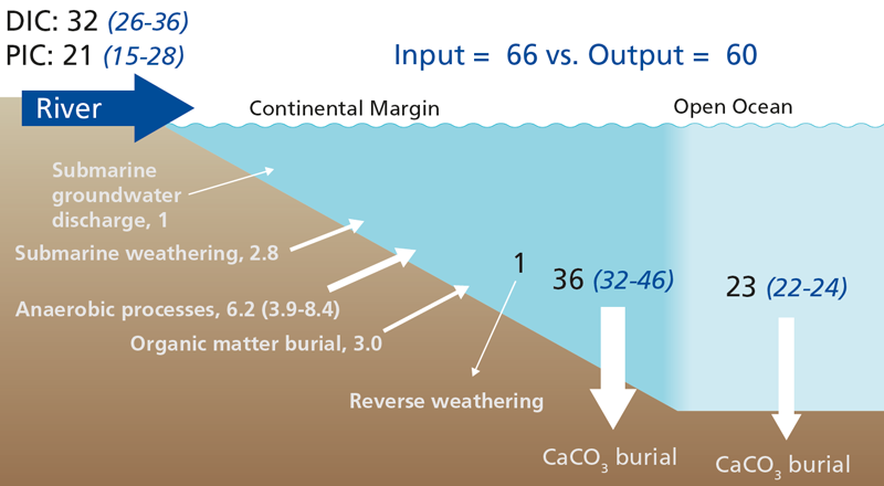 Schematic showing the alkalinity balance of the present-day ocean