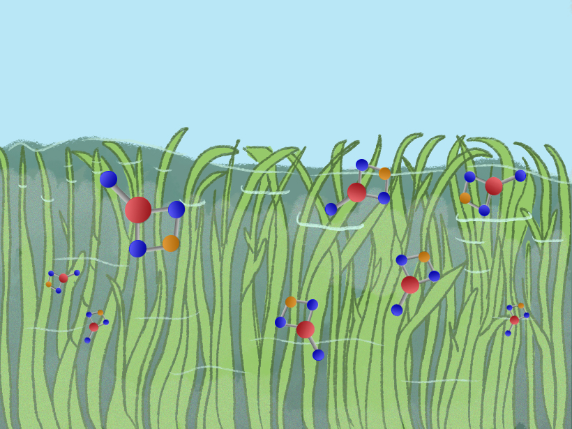 Illustration of submerged aquatic vegetation with molecules of calcium carbonate