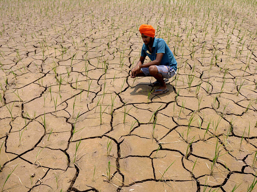 A farmer crouches on dried, cracked soil on his farm in Punjab