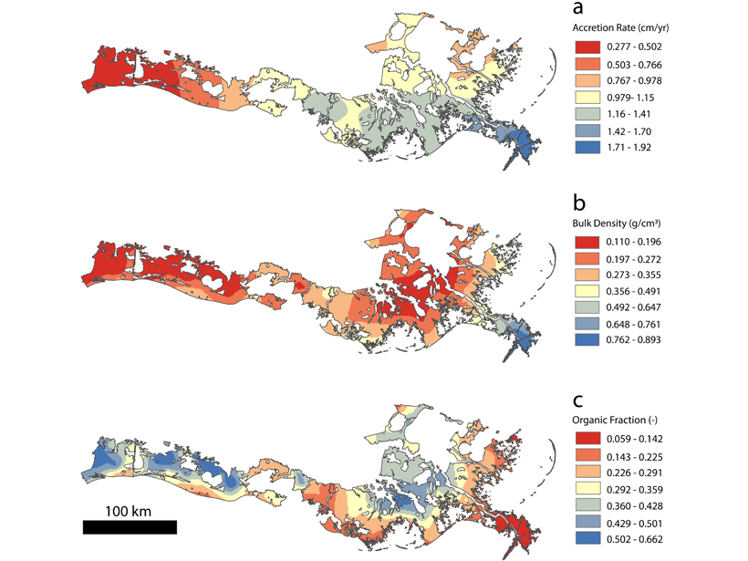 3 maps showing accumulation of sediment and organic material in coastal Louisiana