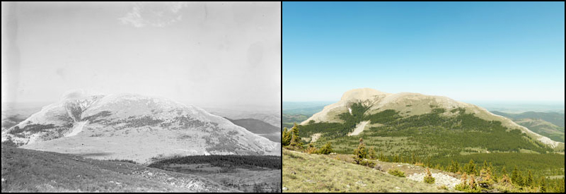 A hilltop in the Crowsnest Forest Reserve, Alberta, Canada