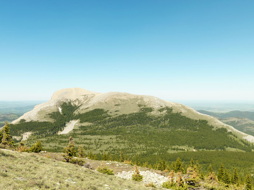 A hilltop in the Crowsnest Forest Reserve, Alberta, Canada