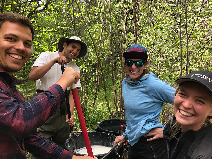 Stefan Klingler, Ian Gambill, Jackie Randell, Anna Marshall mix salt into water for an in-stream tracer test in Little Beaver Creek in northern Colorado.