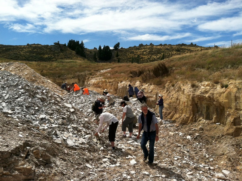 Wide image of a group of researchers looking through slabs of rock in a ditch in a dry paddock