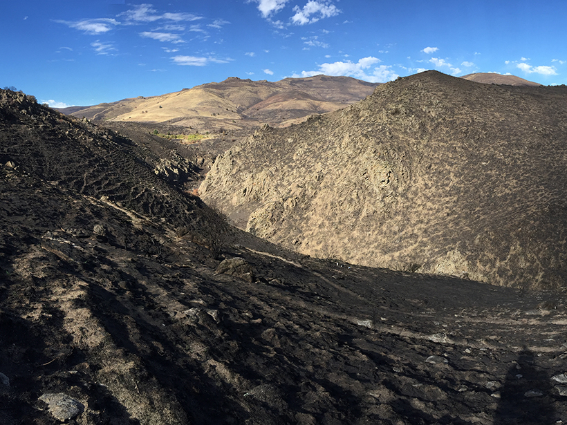 A hilly landscape in the Reynolds Creek Critical Zone Observatory, with charred soil in the foreground.