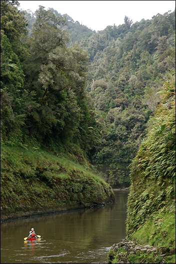 Kayaker paddles down a winding river through deep green hills Kayaker paddles down a winding river through deep green hills