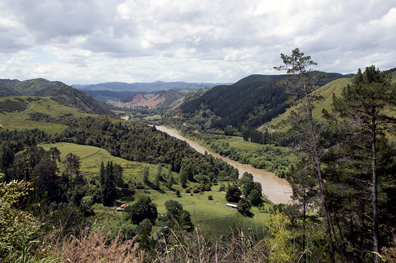 The Whanganui flows through its river valley The Whanganui flows through its river valley