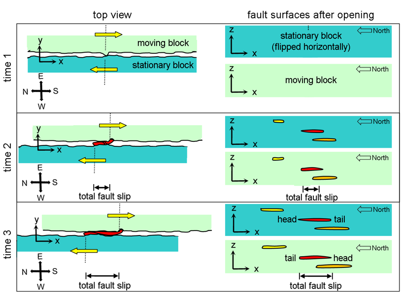 Illustration of grains being sheared off fault sides and ground up