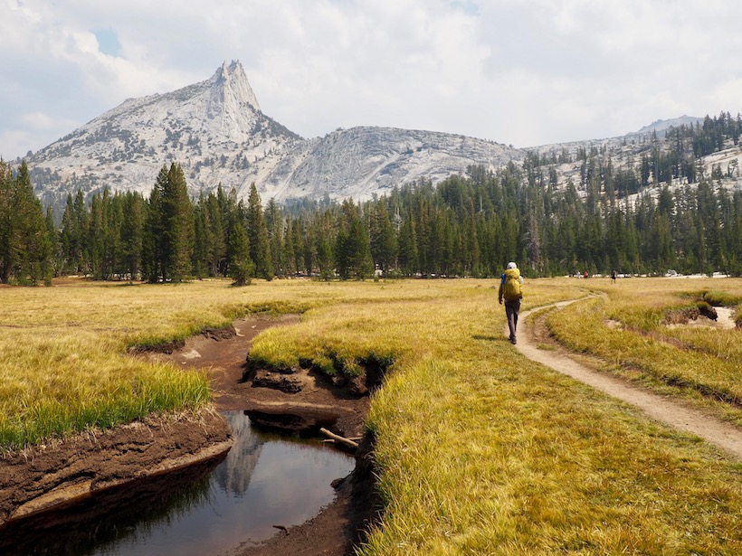A backpacker follows a trail through a meadow below Cathedral Peak in Yosemite National Park.