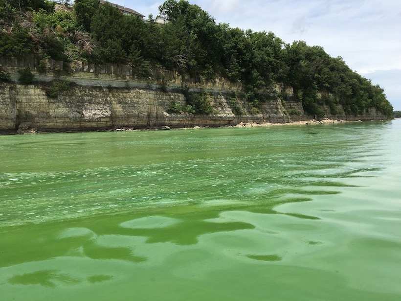 Emerald green water laps against a gray and brown cliff face topped with trees