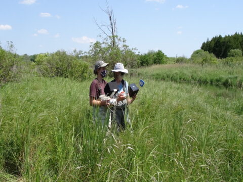 Two women stand in a green field, piloting a drone.