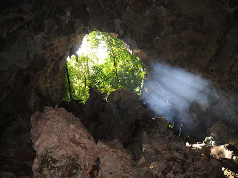 Cave entrance with vegetation in background