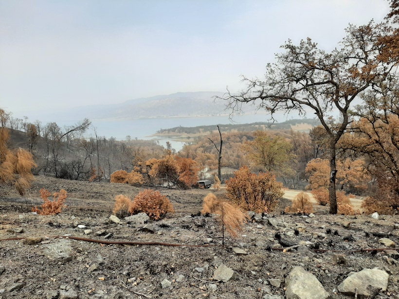 Burned landscape near Lake Curry, Calif. Burned landscape near Lake Curry, Calif.