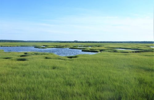 View of a tidal marsh in Barnstable Harbor, Mass.