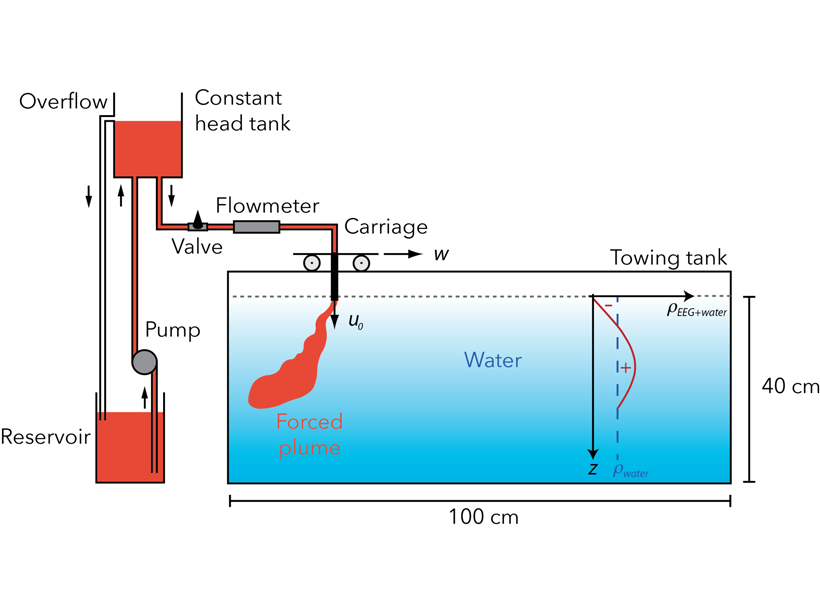 Schematic diagram of the experimental apparatus