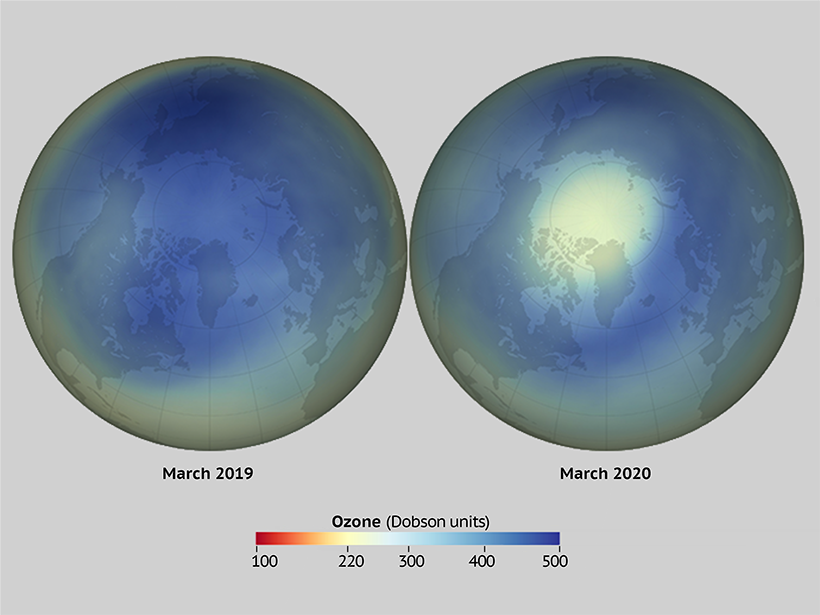 Figure comparing stratospheric ozone over the Arctic in March 2019 compared with March 2020
