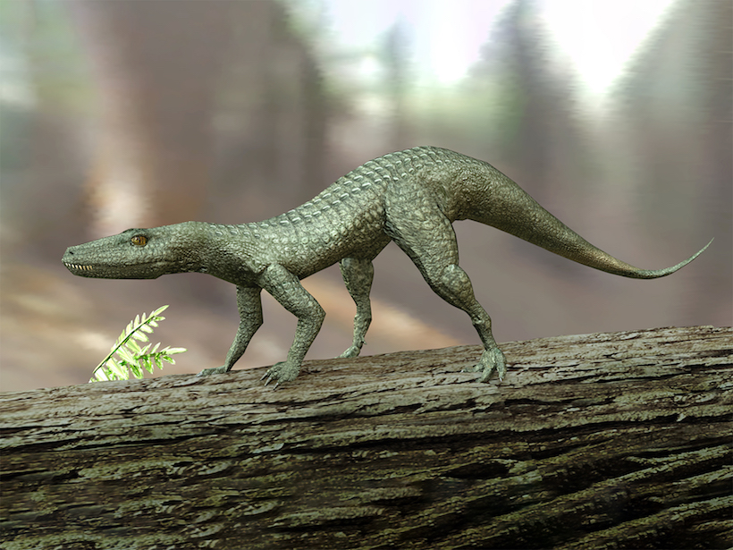 A 3D computer illustration of Hesperosuchus, an extinct genus of crocodylomorph reptiles