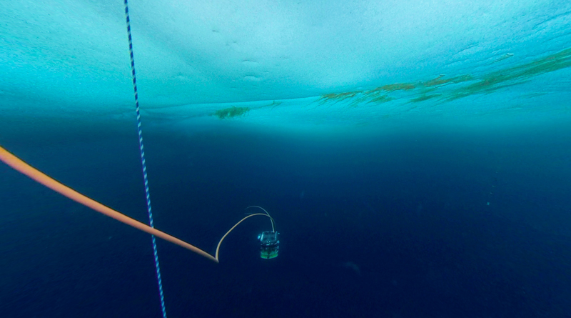 A photograph of the ROV underwater A photograph of the ROV underwater
