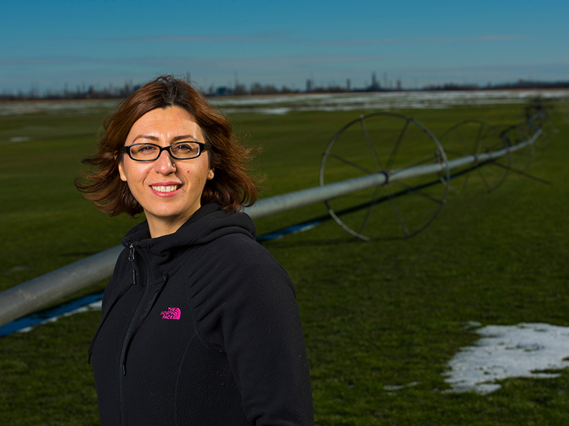 Researcher Monireh Faramarzi on an agricultural farm in Alberta, Canada