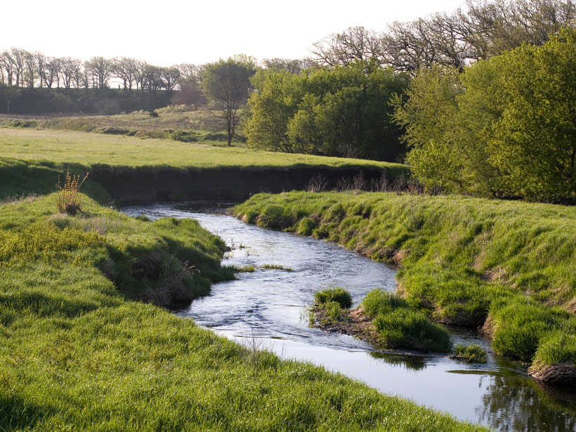 Stream surrounded by grassland.