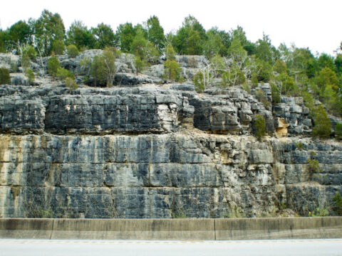 A roadcut in Kentucky reveals layers of Camp Nelson Limestone
