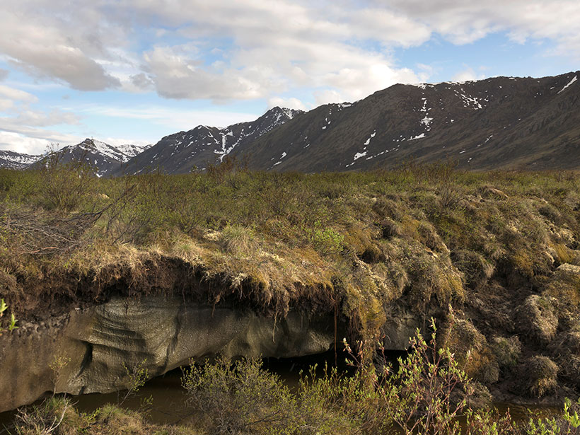 Permafrost below grass