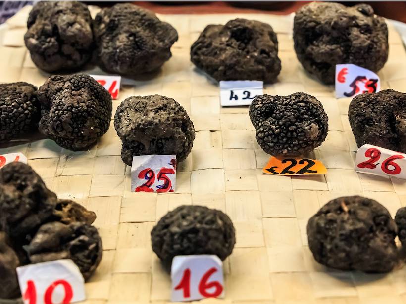 Black truffles on display