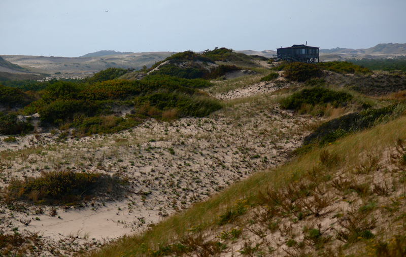A stilted home rises above grassy sand dunes. A stilted home rises above grassy sand dunes.