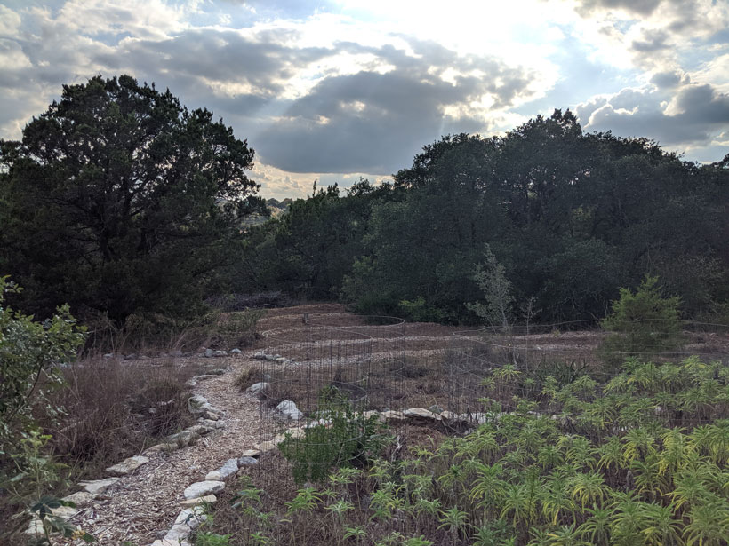 Community forests that provide numerous ecological, social, and economic benefits are being threatened by climate change.