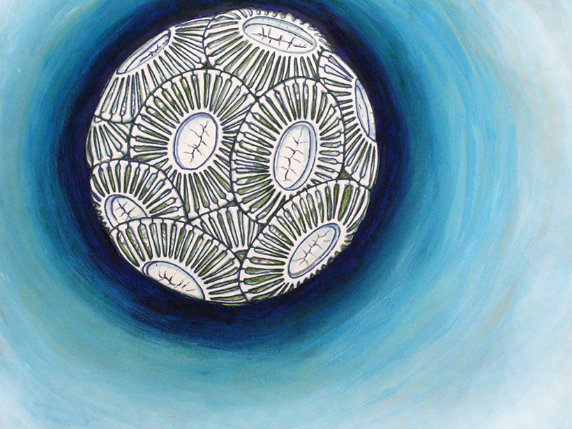Illustration of a coccolithophore against a blue background