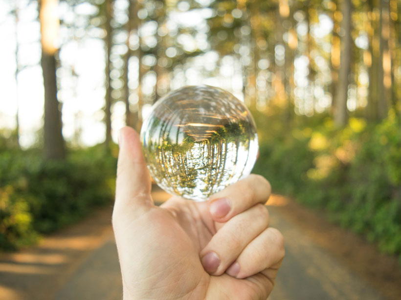 A hand holding a glass sphere through which a forest is visible