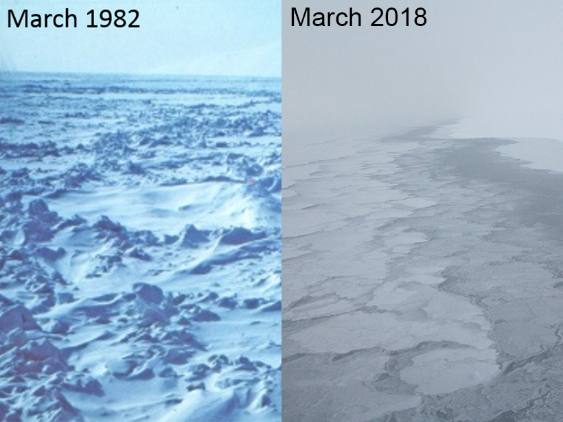 Sea ice in Alaska in 1982 compared to 2018