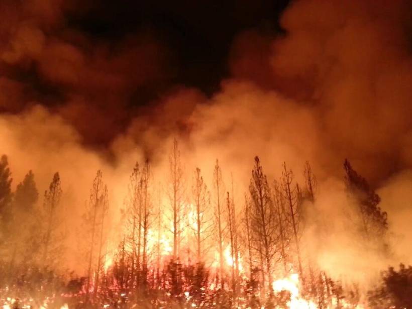 Flames and billowing smoke rise from trees at night.
