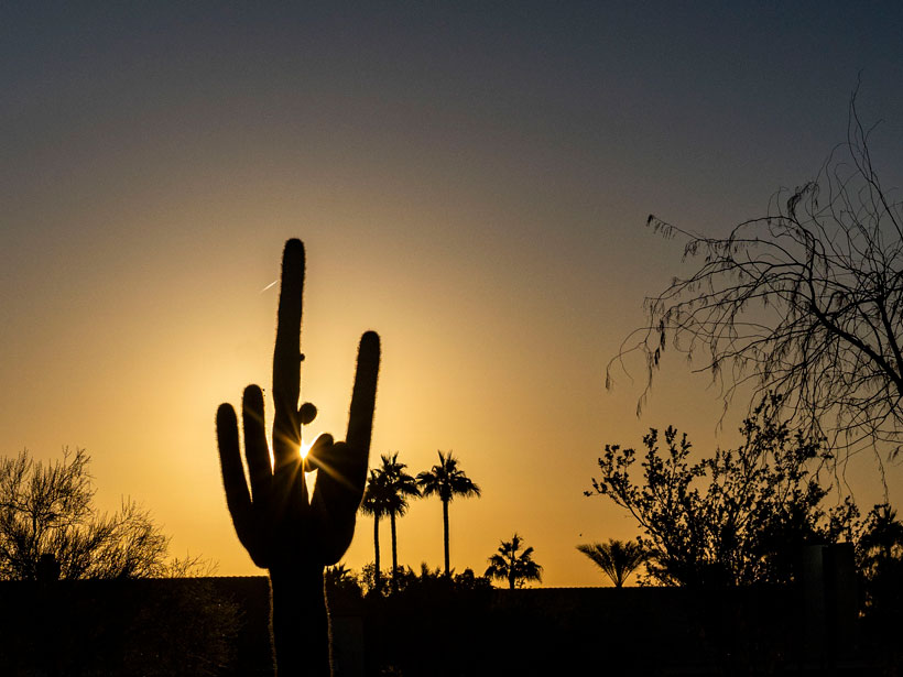 The Sun rises behind a saguaro cactus in Phoenix. The Sun rises behind a saguaro cactus in Phoenix.