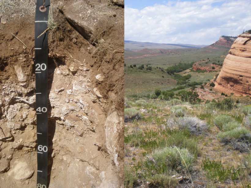 A soil profile from the Wind River Range