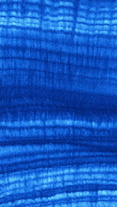 Synchrotron radiation micro X‐ray fluorescence map of strontium of a modern annually laminated stalagmite from the Cook Islands. Synchrotron radiation micro X‐ray fluorescence map of strontium of a modern annually laminated stalagmite from the Cook Islands.