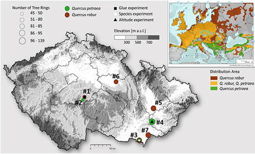 Map of the Czech Republic showing where samples of two species of oak trees were taken for a new study