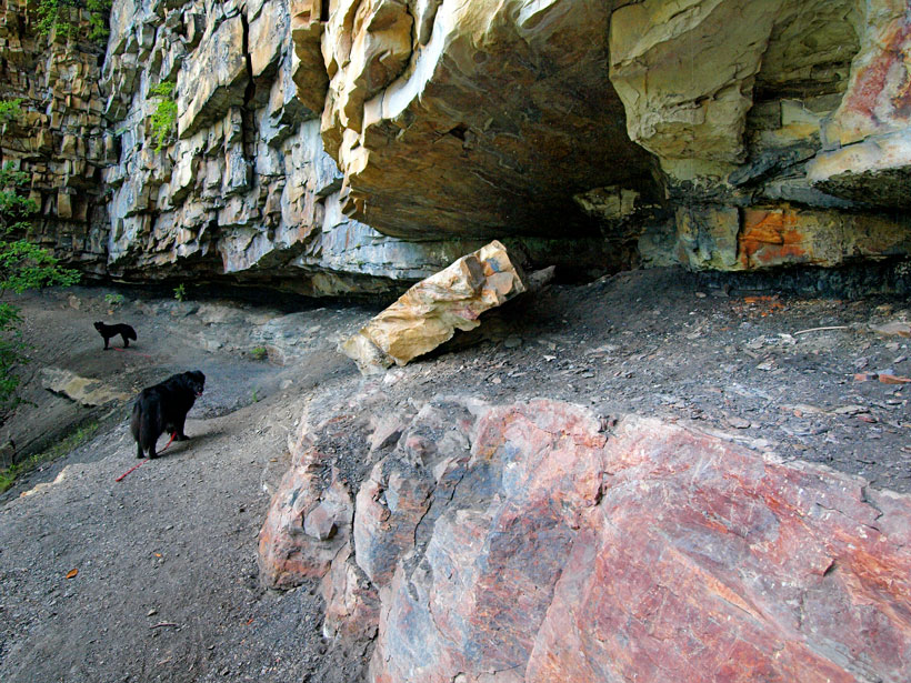 A layer of crumbling coal erodes from under sandstone blocks along a trail in the New River Gorge.
