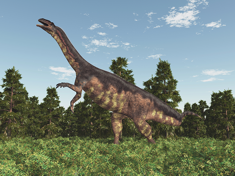 Image of a long-necked dinosaur with trees in the background.