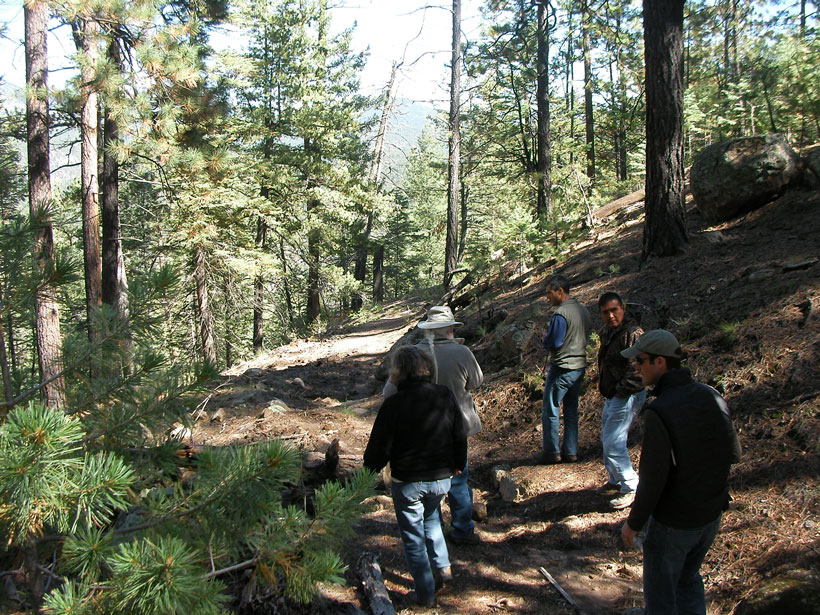 Chris Toya and scientists walk along an ancient trail in the forested Jemez Mountains.