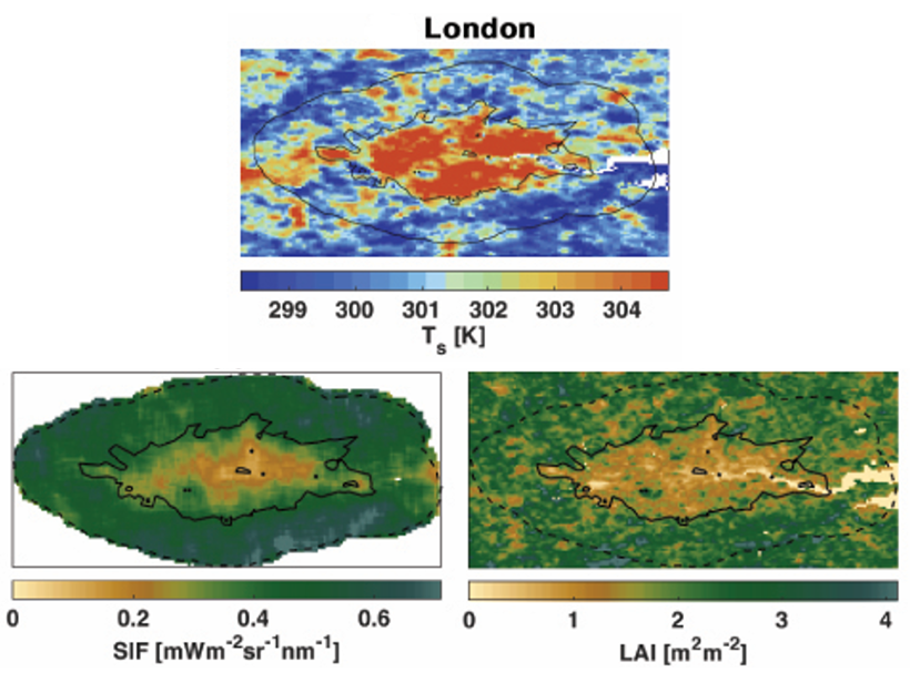Maps of London showing the average surface daytime temperature, vegetation activity and Leaf area index during summer.