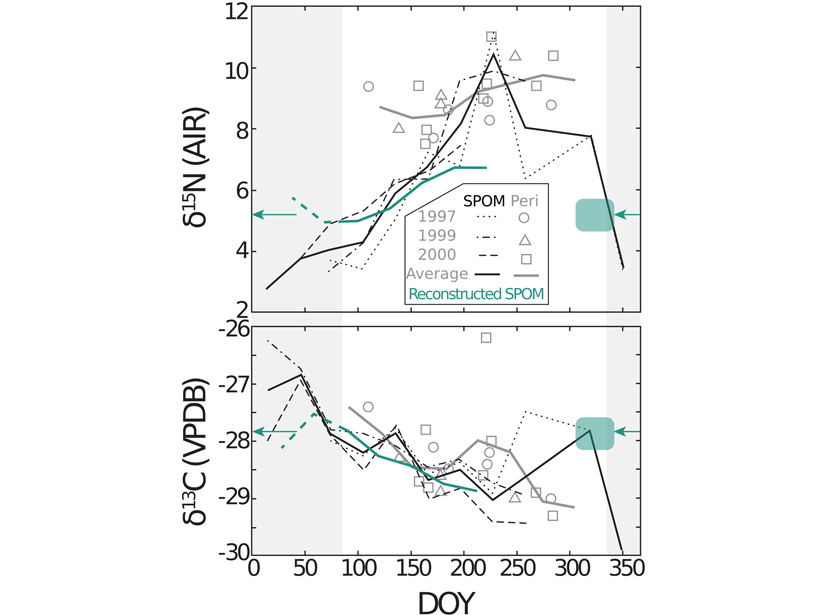 Two plots comparing seasonal variability in mussel stable isotope values from the periostracum with measured suspended particulate organic matter, used to reconstruct the isotopic composition of suspended particulate organic matter.