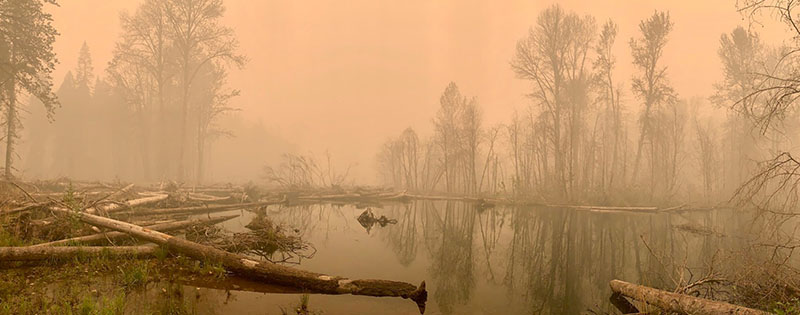 The restored floodplain of the South Fork McKenzie River during the 2020 Holiday Farm Fire. The restored floodplain of the South Fork McKenzie River during the 2020 Holiday Farm Fire.