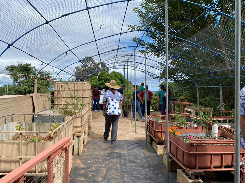 Tourists visit one of the farms working with agritourism in Puerto Rico.