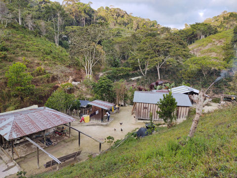 A specialty coffee farm on the border of the forest in Serranía de San Lucas in northern Colombia