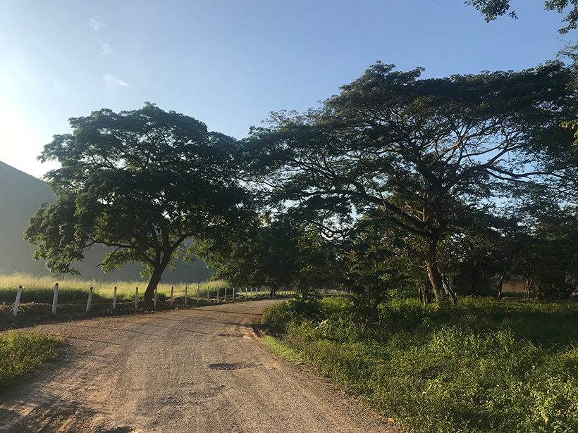 Sunrise over an unpaved road near Apulo, Colombia